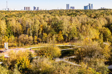 Wall Mural - above view of city park on sunny autumn day