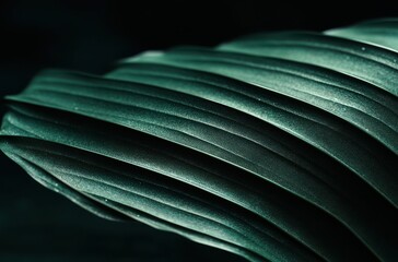 Poster - Close-Up of Textured Green Leaf Surface with Natural Patterns and Light Play, Showcasing Nature's Beauty and Intricate Details in Vibrant Green Color Tones