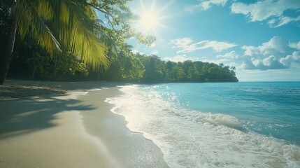 Wall Mural - Tropical beach with sunny sky