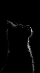 Poster - Silhouette of a cat's head against a dark background, emphasizing its features and expression.