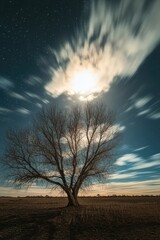 Wall Mural - Lone Tree Under Full Moon
