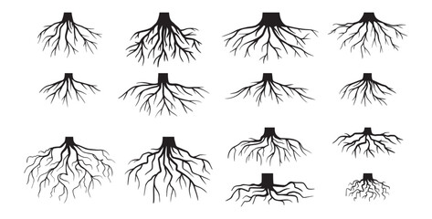 Wall Mural - Various realistic tree roots, shrub roots. Parts of plant, root system tree stump. Dendrology, woody plants. Sketch doodle drawing.