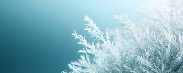Naklejka na meble Delicate Frost Crystals On Branches Winter Scene