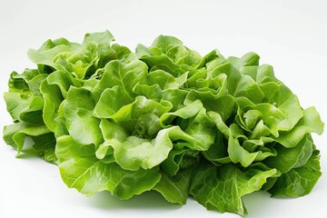 Poster - A fresh head of lettuce placed on a clean white surface, perfect for use in salads or as a garnish