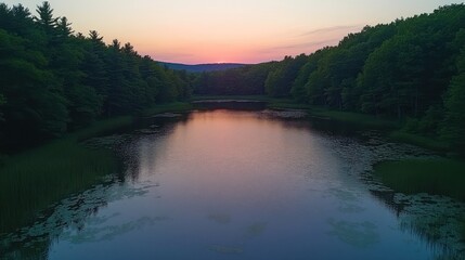 Sticker - Serene Sunset over a Tranquil Lake Nestled in a Lush Forest