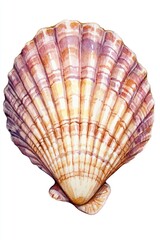 Poster - A shell photographed from a close angle on a white background, useful for decoration or educational purposes