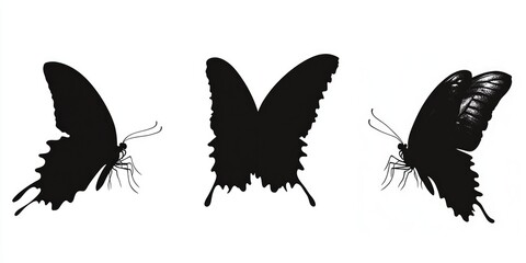 Aufkleber - Three butterfly silhouettes on a white background