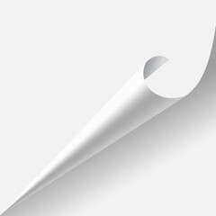 Poster - White page corner is peeling up from the bottom left corner, curling over to reveal the reverse side of the sheet, creating a dynamic and intriguing visual element