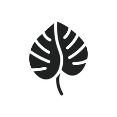 Poster - Monstera leaves icon web design in vector