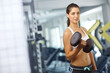 © peopleimages.com - Fitness, woman and dumbbell in gym for exercise, strength training and strong arm muscle development. Girl, weightlifting and workout in sport center for wellness, challenge or determination at space
