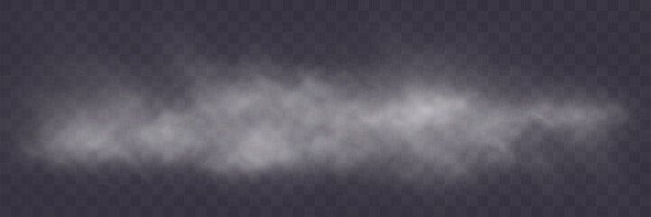 Poster - Realistic smoke, vape, fog, smog. Illustration of smoke on a transparent background.
