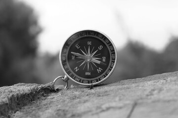 Wall Mural - classic navigation compass on natural background