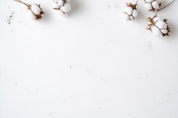 Poster - White cotton plant heads arranged on textured white background. Minimalist style. Minimalist design. Simple illustration. Clean look. Suitable for modern design projects. Natural elements. Eco
