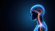 © Tameem - Vagus Nerve Stimulation (VNS) with a highlighted neural pathway through an illustrated human head and neck.