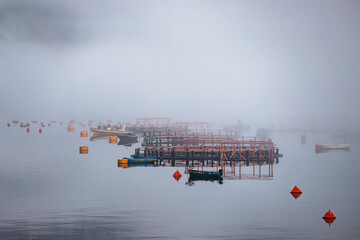 Wall Mural - Fishing boats and fish farms emerging from the fog on a lake