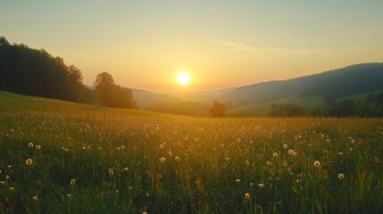 Wall Mural - Sunrise Over Tranquil Meadow