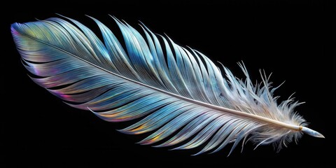 Poster - A single iridescent feather with a delicate quill, showcasing the intricate beauty of nature's design.