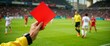 © Aronova - Referee showing red card during soccer match