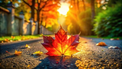 Fototapete - A single crimson leaf bathed in the golden glow of the setting sun, resting on a quiet path surrounded by a vibrant tapestry of autumn foliage.
