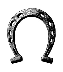 Wall Mural - horse shoe engraving black and white outline