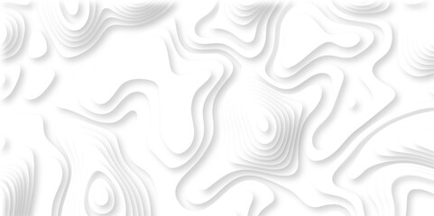 Poster - paper cut 3d render topography abstract, beautiful white background. geometric map relief texture wi
