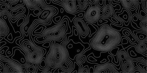 Poster - abstract white on black background with topographic line map pattern. abstract wavy and curved lines