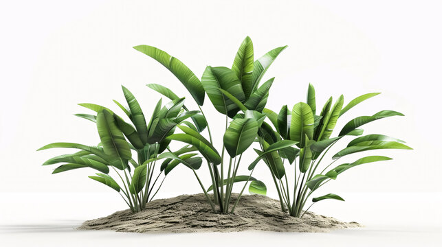 A detailed 3D digital rendering of a plant set against a clean white background, emphasizing its botanical intricacies.