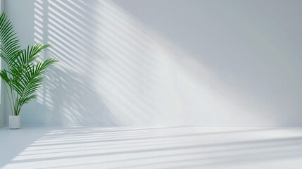 Poster - white and gray studio background 