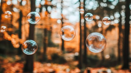 Poster - Soap Bubbles Floating In An Autumn Forest