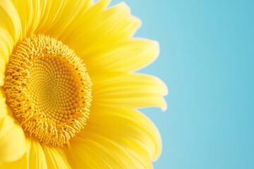 Poster - Fibonacci Day Sunflower Bright Spiral Patterns and Natural Light, Perfect for Earth Day and Thanksgiving