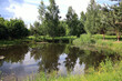 © sanek70974 - summer in the village on the pond