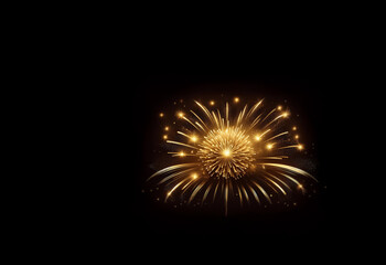 Poster - A mesmerizing display of golden fireworks bursts against a dark backdrop, creating a radiant, celebratory spectacle.  The sparks and light trails evoke feelings of joy and wonder.
