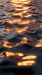Poster - Rippling water surface reflecting golden sunlight, creating a serene and tranquil ambiance.