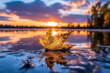 Wall Mural - A single golden maple leaf floating on still water, reflecting a sunset sky