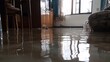 © HISTOCK - Water flooding living room after pipe burst causing damage