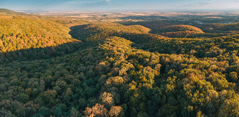 Wall Mural - Aerial view of Fruska Gora autumn landscape, with green and yellow foliage covering the hills and valleys near Novi Sad