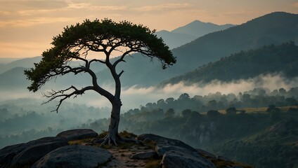 Wall Mural - Tree on the mountain’s edge.