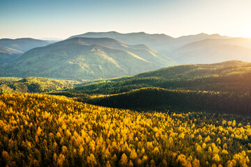 Aufkleber - The mountains are covered with dense impassable forests, bird's eye view. Carpathian mountains, Ukraine, Europe.