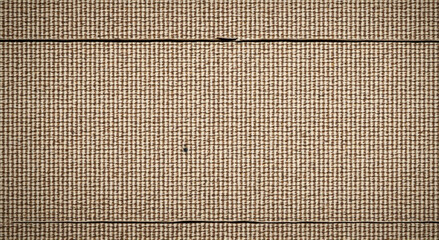 Wall Mural - texture of a cardboard