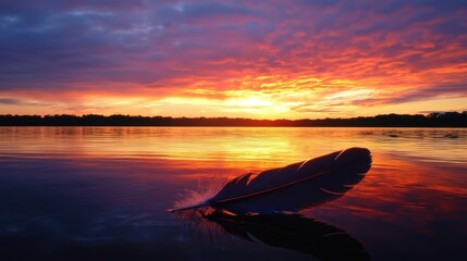 Poster - Serene Sunset Reflection with Feather on Water