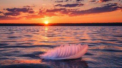 Poster - Serene Sunset with Feather on Calm Water Surface