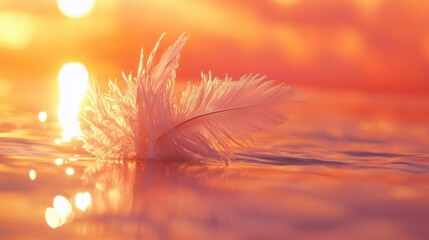 Poster - Serene Sunset with Feather on Calm Water Surface