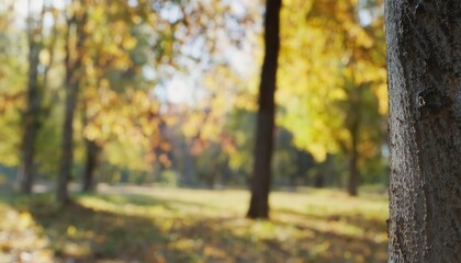 Aufkleber - Serene Autumn Forest Scene Capturing Sunlit Yellow Leaves in Sharp Focus with Soft Blurred Background, Ideal for Nature Blogs, Meditation Themes, or Seasonal Marketing Concepts