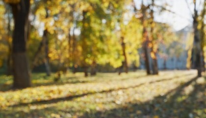 Aufkleber - Serene Autumn Forest Scene Capturing Sunlit Yellow Leaves in Sharp Focus with Soft Blurred Background, Ideal for Nature Blogs, Meditation Themes, or Seasonal Marketing Concepts