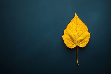 Wall Mural - autumn leaf background