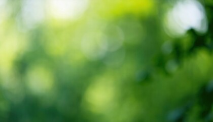 Aufkleber - Serene Green Bokeh Background. Abstract Nature Inspired Backdrop Ideal for Eco Themed Designs, Meditation Apps, Wellness Branding, and Calming Digital Interfaces Reflecting Tranquility and Growth