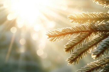 Poster - A close-up shot of a pine tree's needles and trunk, with the sun shining in the background