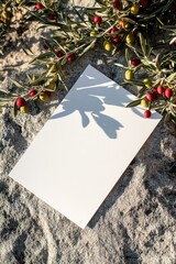 Poster - A piece of paper with a shadow of a plant on it, useful for backgrounds and textures