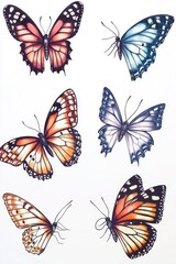 Poster - A cluster of colorful butterflies sit on a clean white background