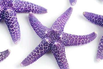 Poster - A group of purple starfish sit on a white surface, awaiting discovery